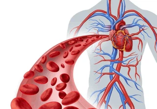 Cardiovascular protection Cardiovascular protection