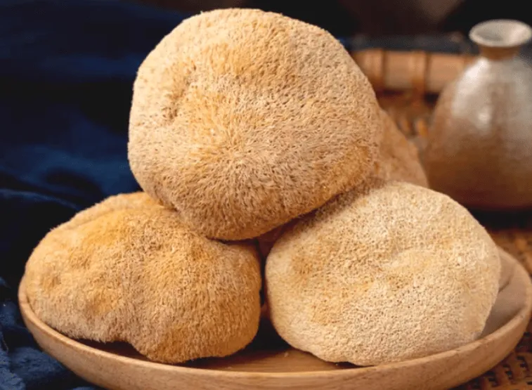Hericium erinaceus Hericium erinaceus