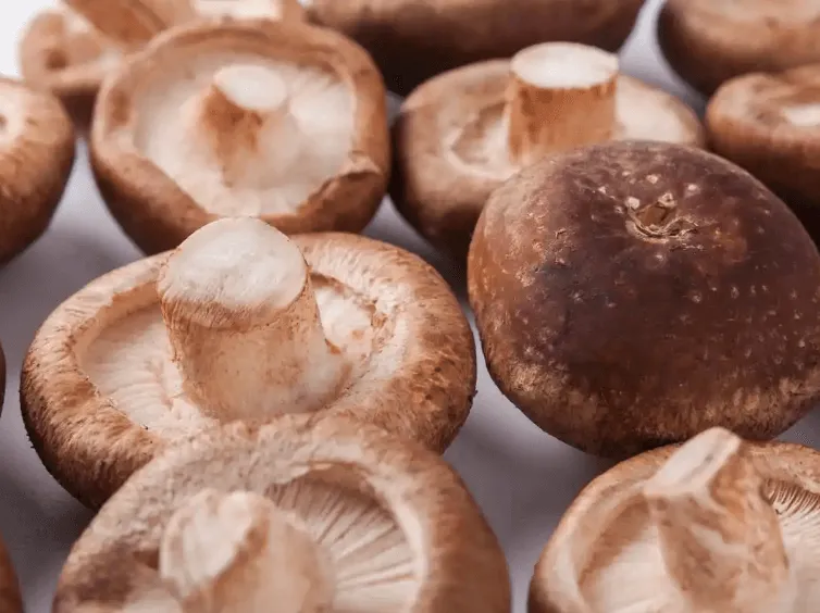 Shiitake mushrooms Shiitake mushrooms