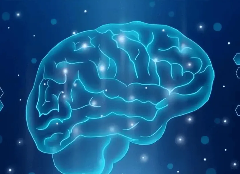 Improve energy and concentration Improve energy and concentration