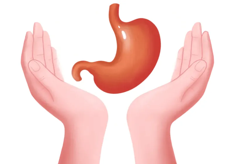Support digestive health Support digestive health