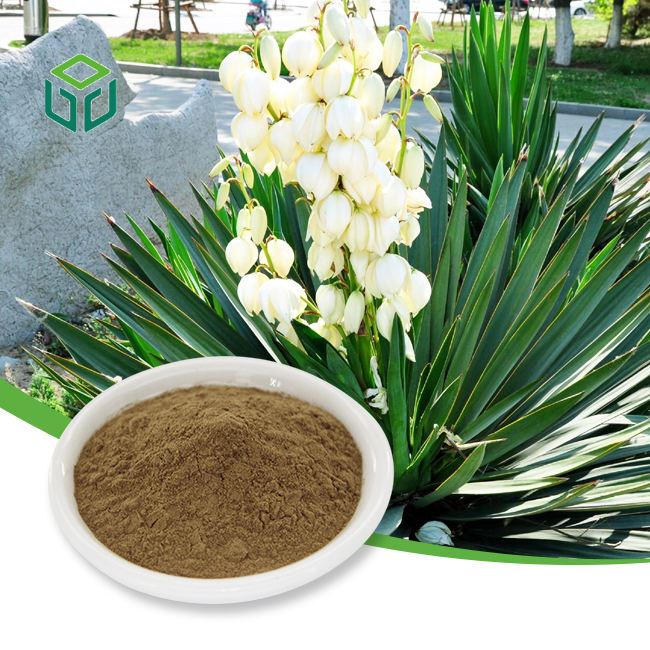 Yucca Extract Powder